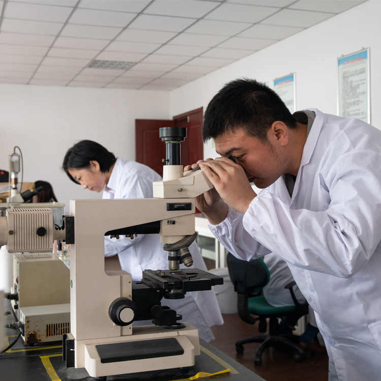 Tackling the Challenge of Rough Aluminum Paste Coatings: A Comprehensive Guide